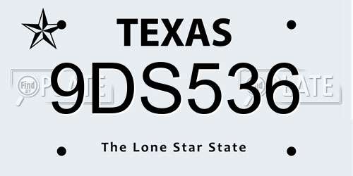 9DS536 Texas License Plate
