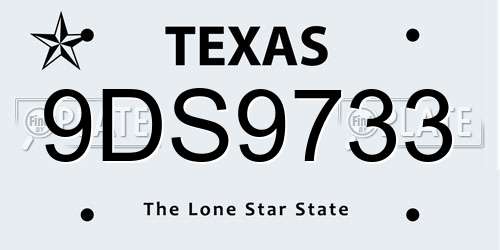 9DS9733 Texas License Plate