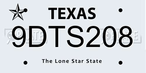 9DTS208 Texas License Plate