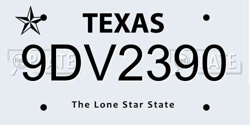 9DV2390 Texas License Plate