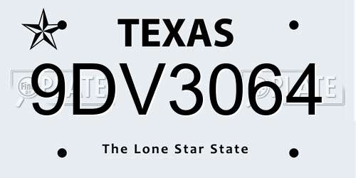 9DV3064 Texas License Plate