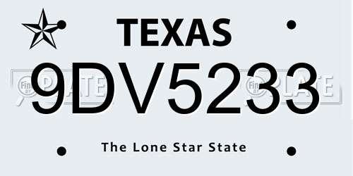 9DV5233 Texas License Plate