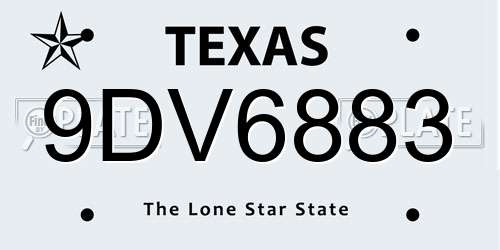 9DV6883 Texas License Plate