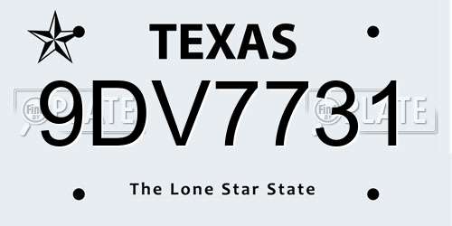 9DV7731 Texas License Plate