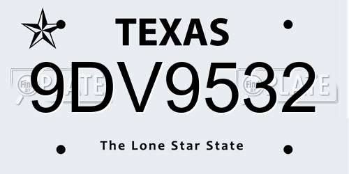9DV9532 Texas License Plate