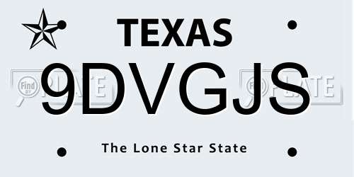 9DVGJS Texas License Plate
