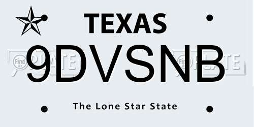 9DVSNB Texas License Plate