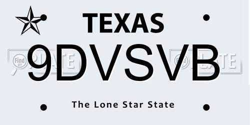 9DVSVB Texas License Plate