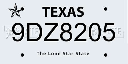9DZ8205 Texas License Plate