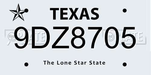 9DZ8705 Texas License Plate
