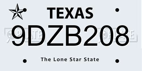 9DZB208 Texas License Plate
