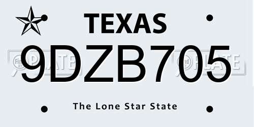 9DZB705 Texas License Plate