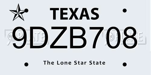 9DZB708 Texas License Plate