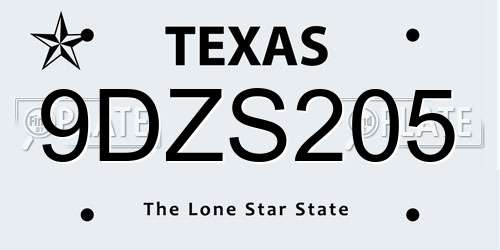 9DZS205 Texas License Plate