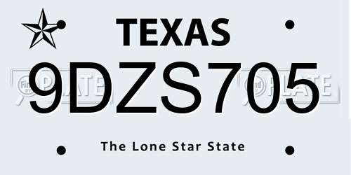 9DZS705 Texas License Plate