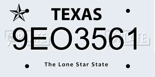 9EO3561 Texas License Plate