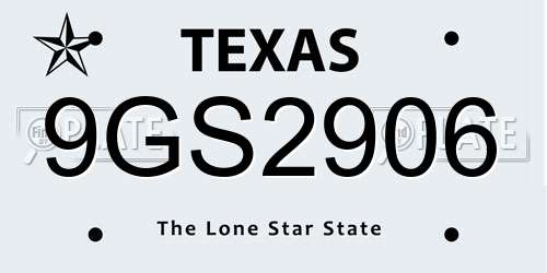 9GS2906 Texas License Plate