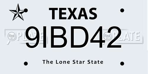 9IBD42 Texas License Plate