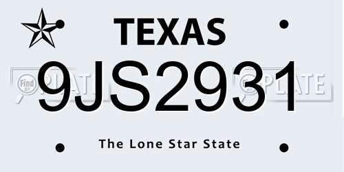 9JS2931 Texas License Plate