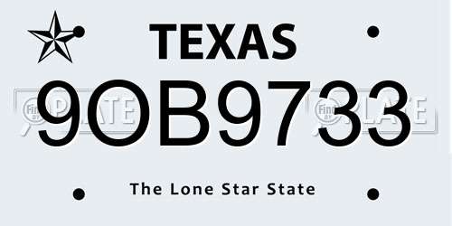 9OB9733 Texas License Plate