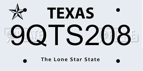 9QTS208 Texas License Plate