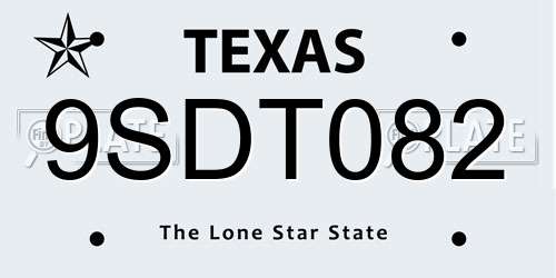 9SDT082 Texas License Plate