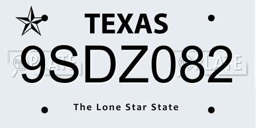 9SDZ082 Texas License Plate