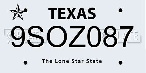 9SOZ087 Texas License Plate
