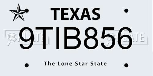 9TIB856 Texas License Plate