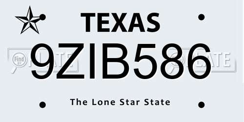 9ZIB586 Texas License Plate