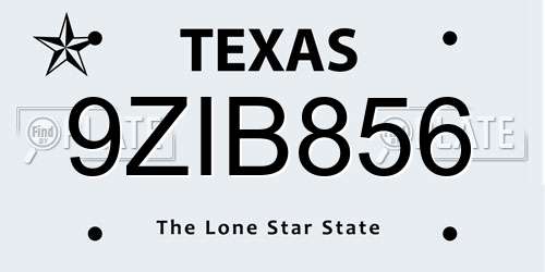 9ZIB856 Texas License Plate