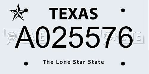 A025576 Texas License Plate