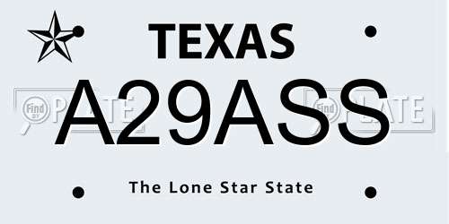A29ASS Texas License Plate