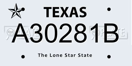 A30281B Texas License Plate
