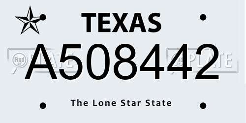 A508442 Texas License Plate