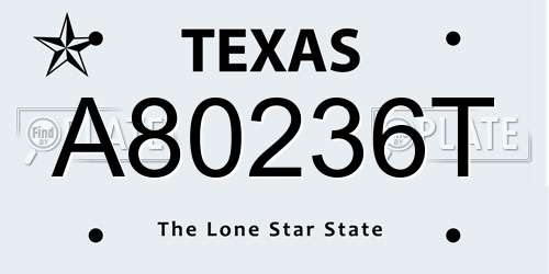 A80236T Texas License Plate