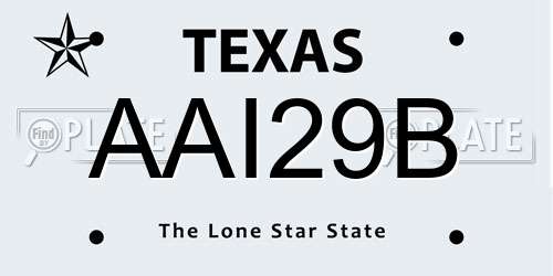 AAI29B Texas License Plate