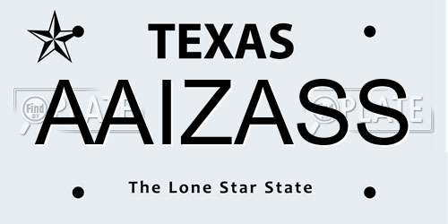 AAIZASS Texas License Plate
