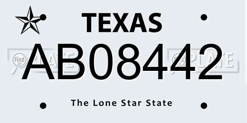 AB08442 Texas License Plate