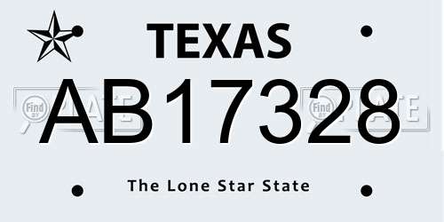 AB17328 Texas License Plate