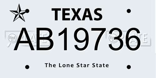 AB19736 Texas License Plate