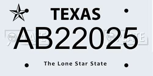 AB22025 Texas License Plate