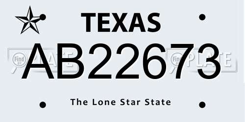 AB22673 Texas License Plate