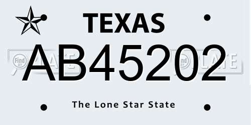 AB45202 Texas License Plate