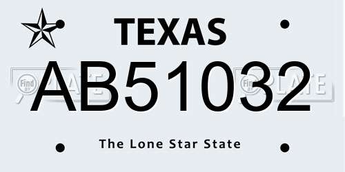 AB51032 Texas License Plate