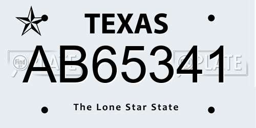 AB65341 Texas License Plate
