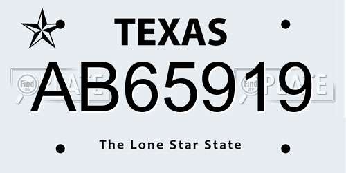 AB65919 Texas License Plate