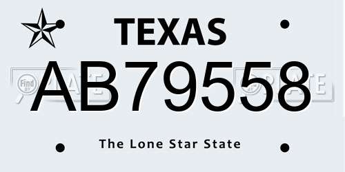 AB79558 Texas License Plate