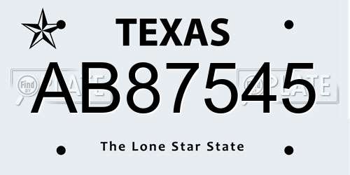 AB87545 Texas License Plate