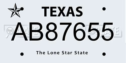 AB87655 Texas License Plate